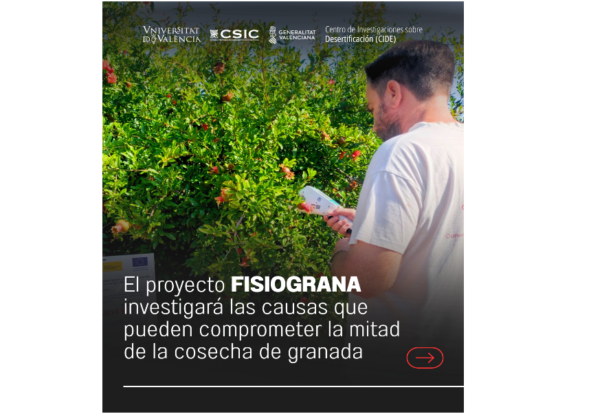 Image de la noticia
